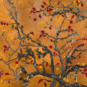 免费脚交视频网
