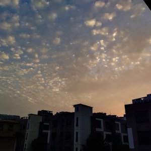 免费脚交视频网
