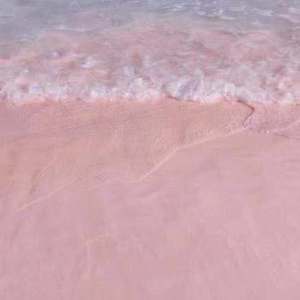 免费脚交视频网
