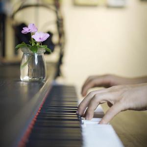 免费脚交视频网
